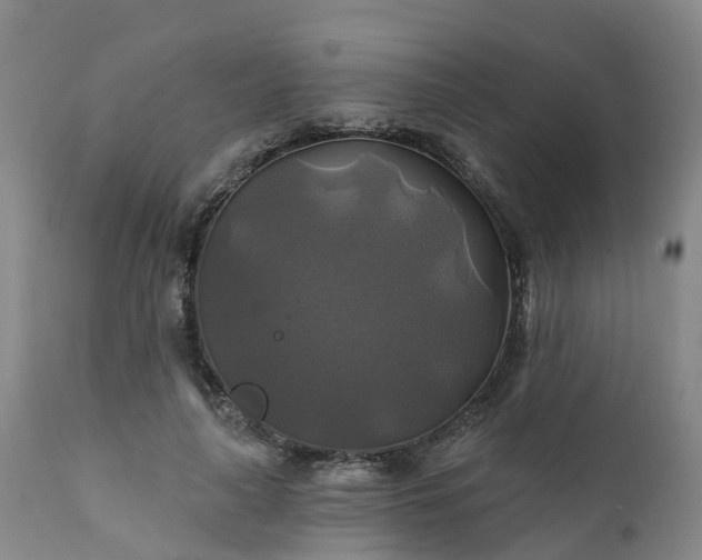 X0000111240643200907091400