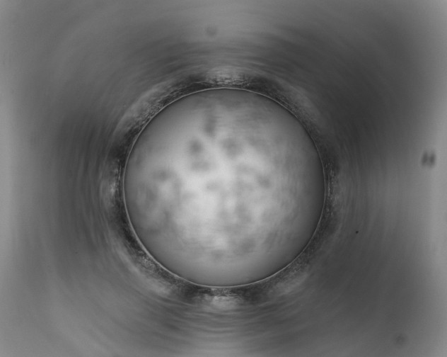 X0000111240645200907091400