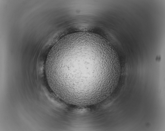 X0000111240646200907091400