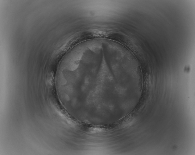 X0000111240649200907091400