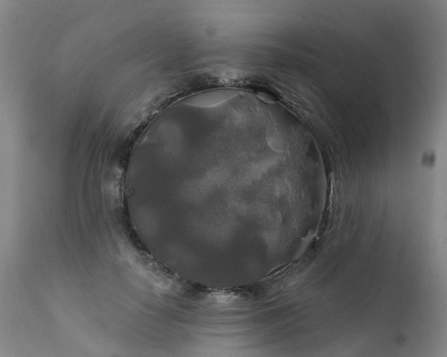 X0000111240650200907091400