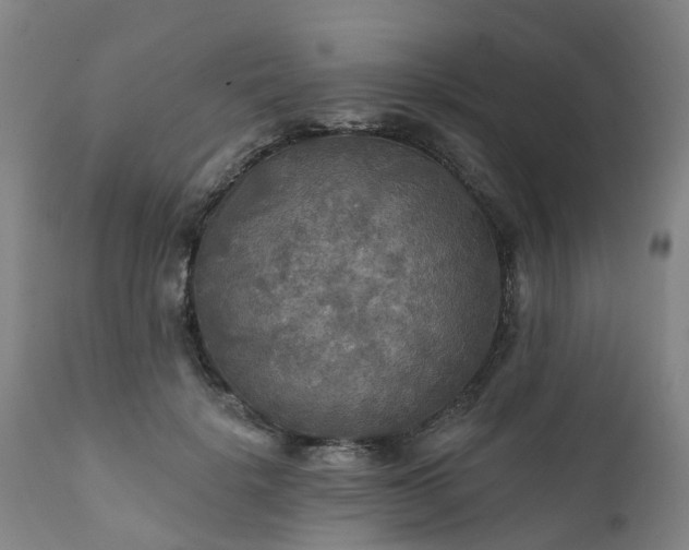 X0000111240652200907091400