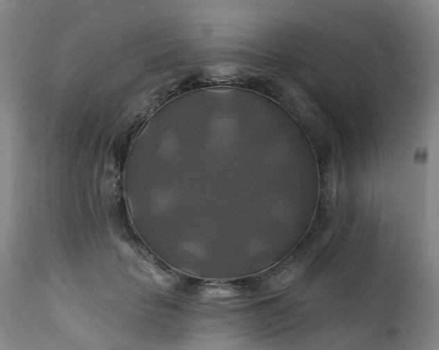 X0000111240653200907091400