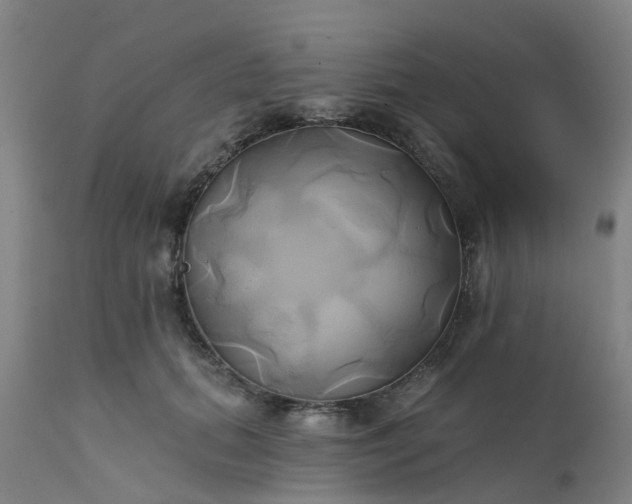 X0000111240655200907091400