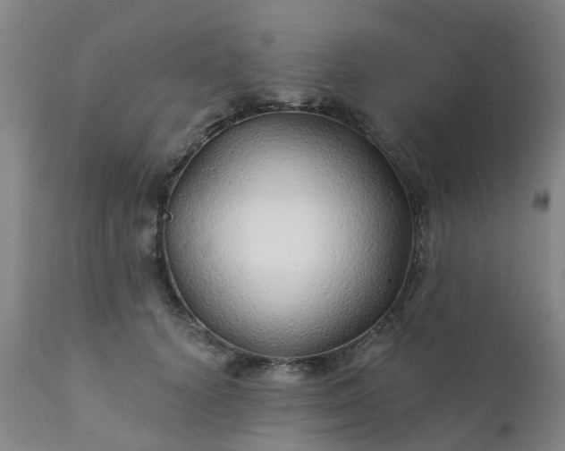 X0000111240656200907091400