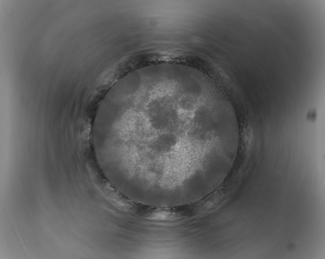 X0000111240657200907091400