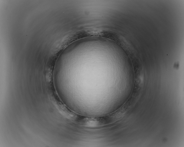 X0000111240658200907091400