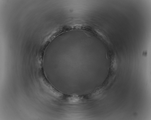 X0000111240661200907091400