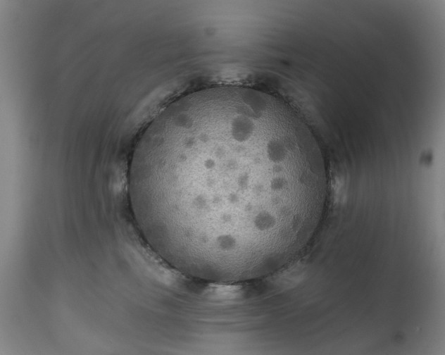 X0000111240665200907091400