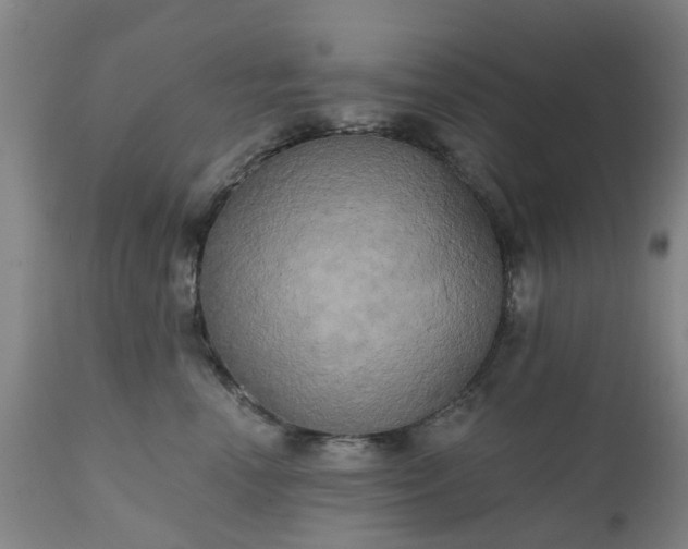 X0000111240666200907091400