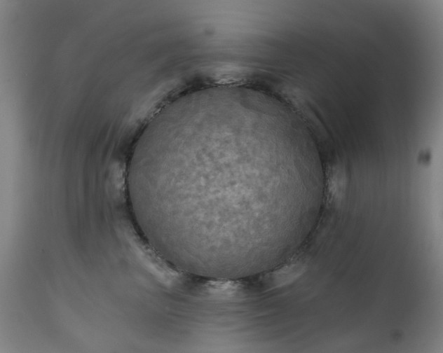 X0000111240667200907091400