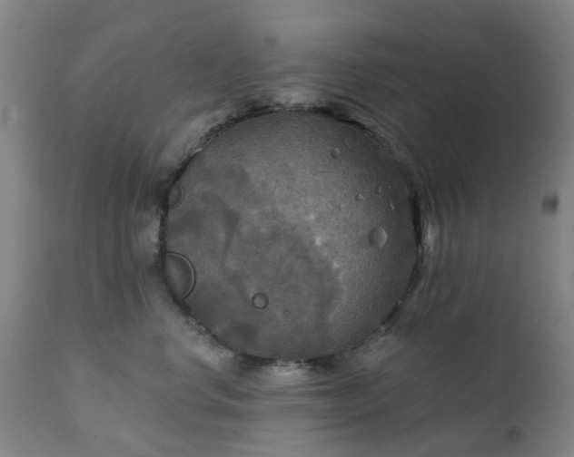 X0000111240668200907091400