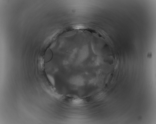 X0000111240669200907091400