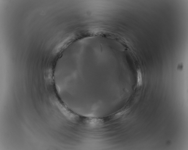 X0000111240670200907091400