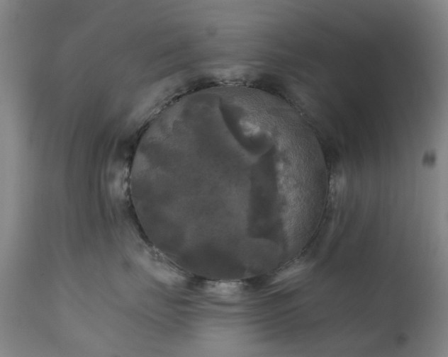 X0000111240671200907091400