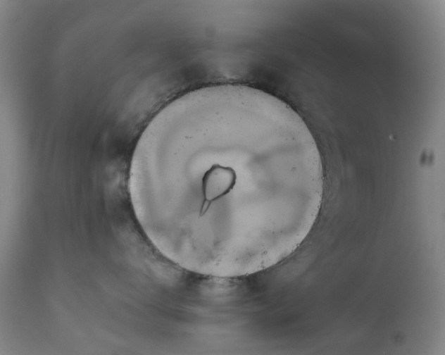 X0000111240672200907091400