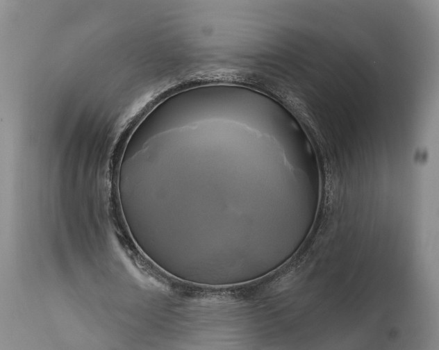 X0000111240674200907091400