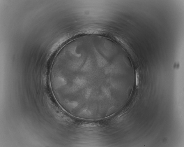 X0000111240675200907091400