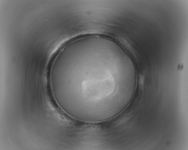 X0000111240676200907091400