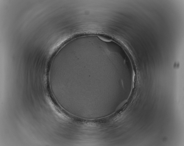 X0000111240677200907091400