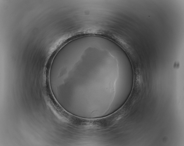 X0000111240678200907091400