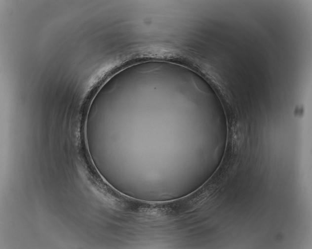 X0000111240679200907091400