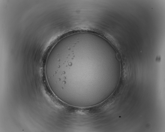 X0000111240680200907091400