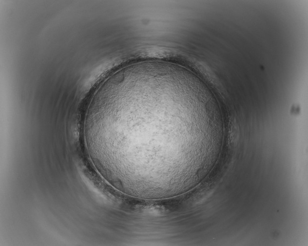 X0000111240683200907091400