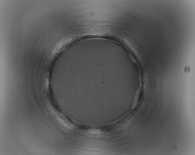 X0000111240685200907091400