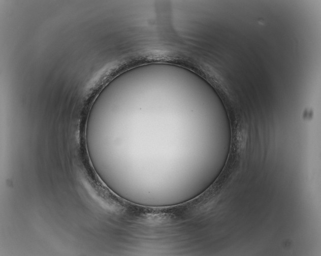 X0000111240686200907091400