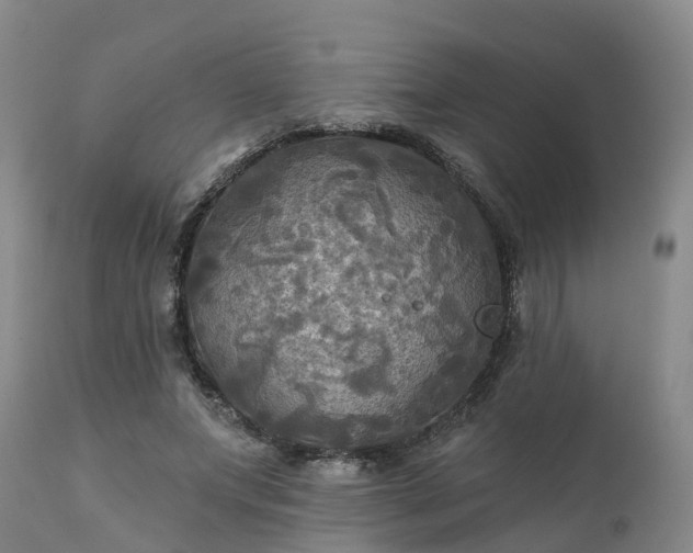 X0000111240687200907091400