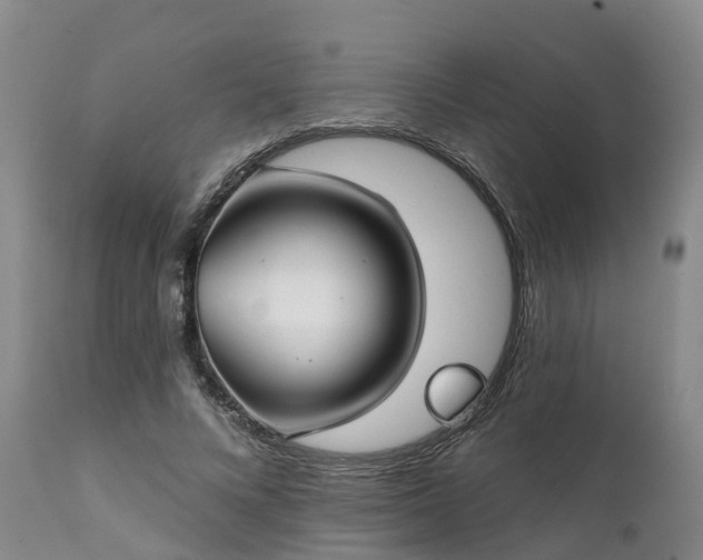 X0000111240688200907091400