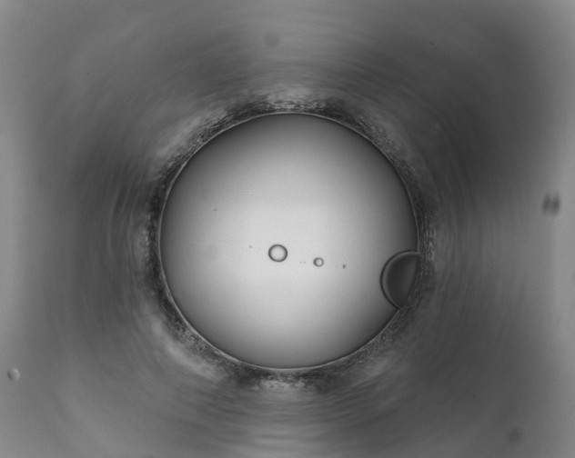 X0000111240690200907091400