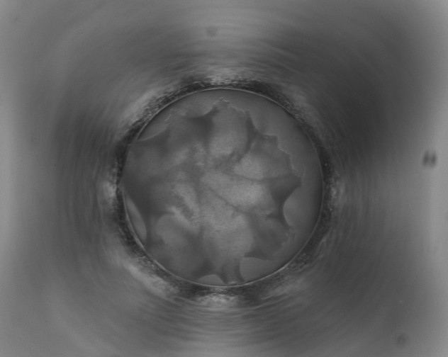 X0000111240691200907091359