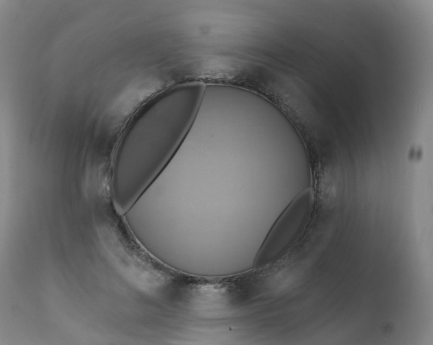 X0000111240692200907091359