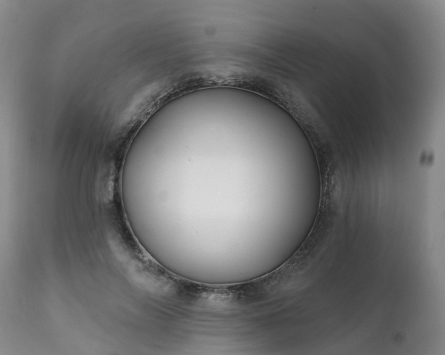 X0000111240694200907091359