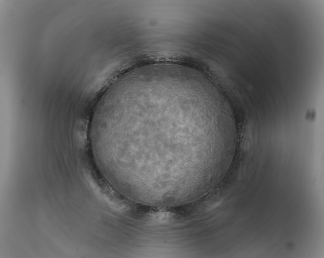 X0000111240695200907091359