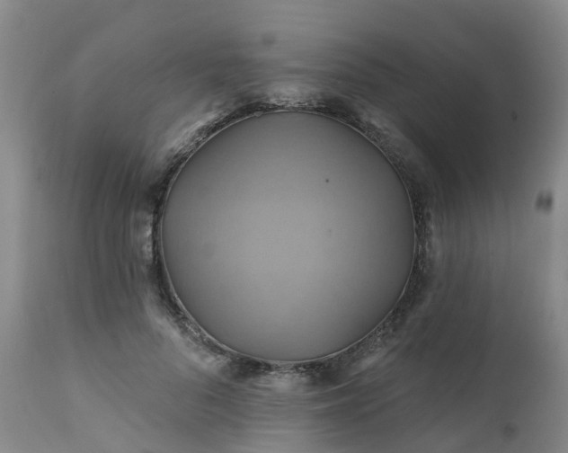 X0000111240696200907091359