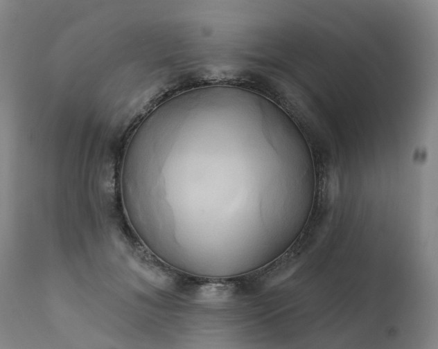 X0000111240700200907091359