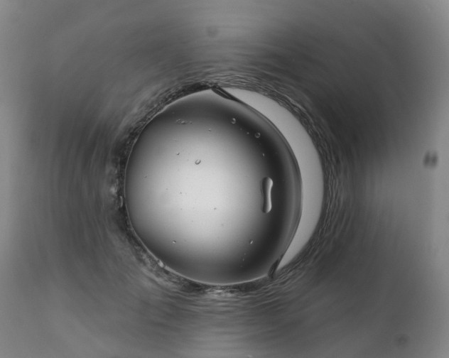 X0000111240701200907091359