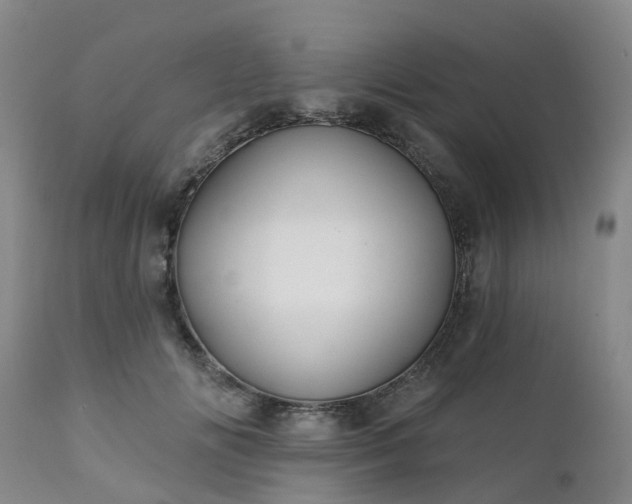 X0000111240702200907091359