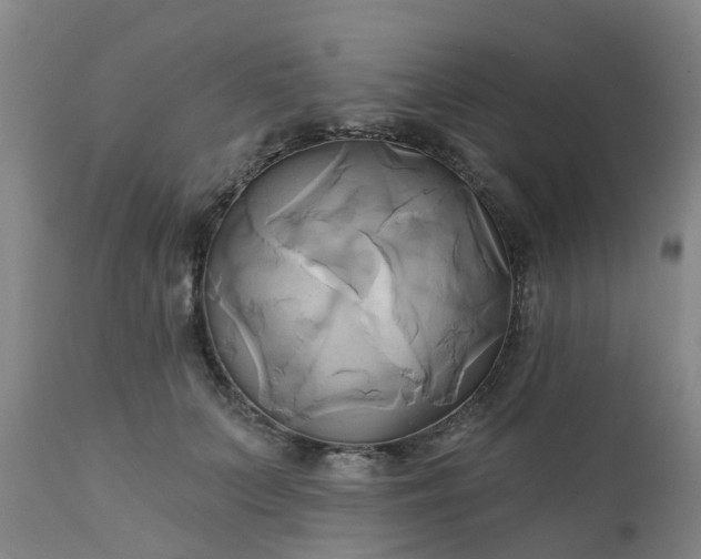 X0000111240703200907091359