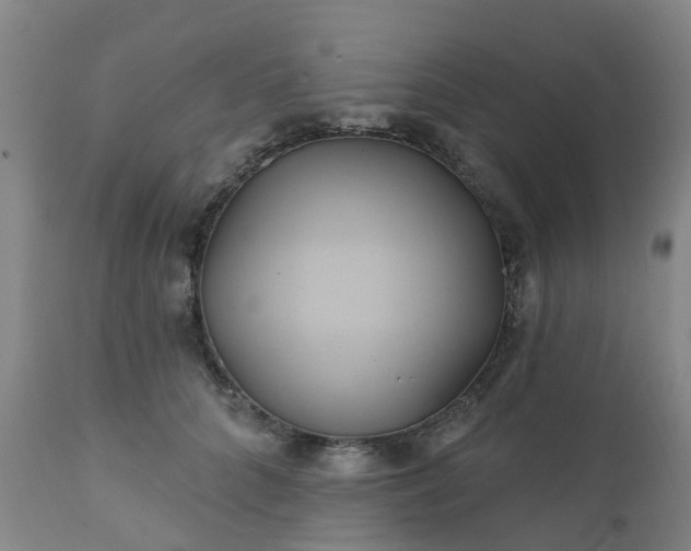 X0000111240704200907091359