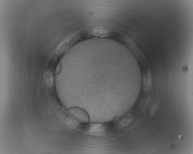 X0000111240705200907091359