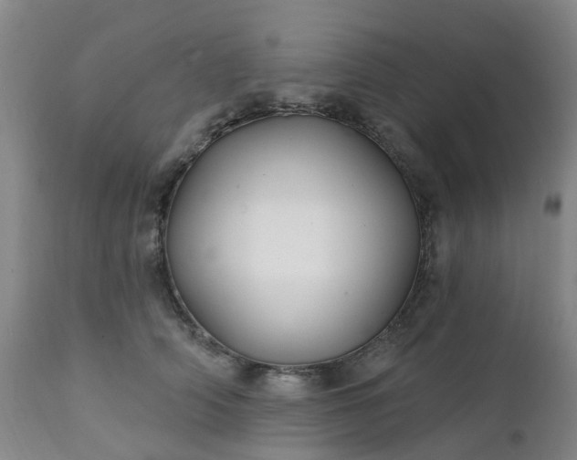 X0000111240706200907091359