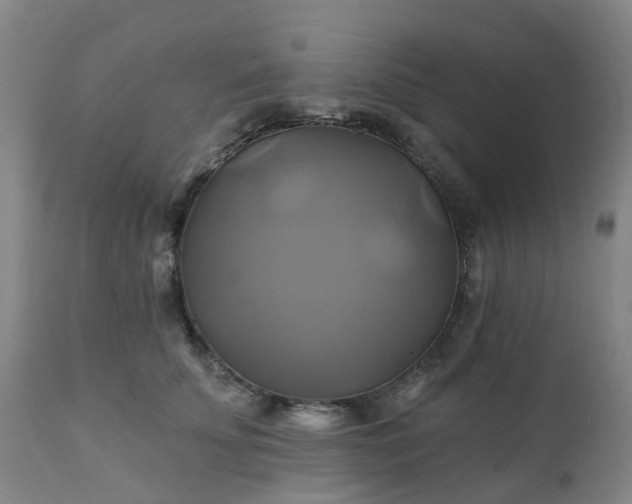 X0000111240707200907091359