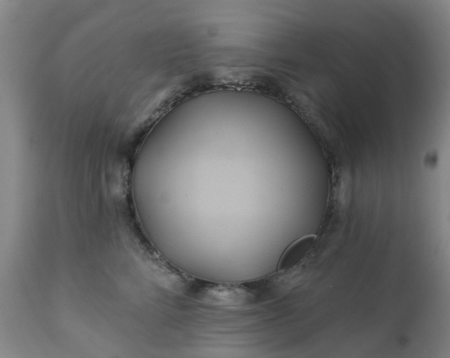 X0000111240712200907091359