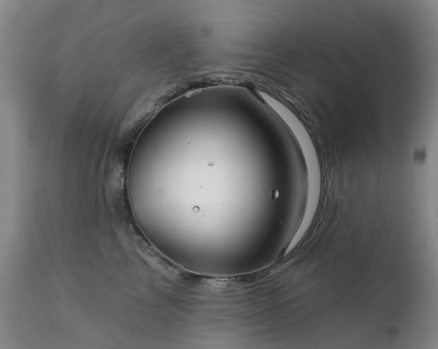 X0000111240713200907091359