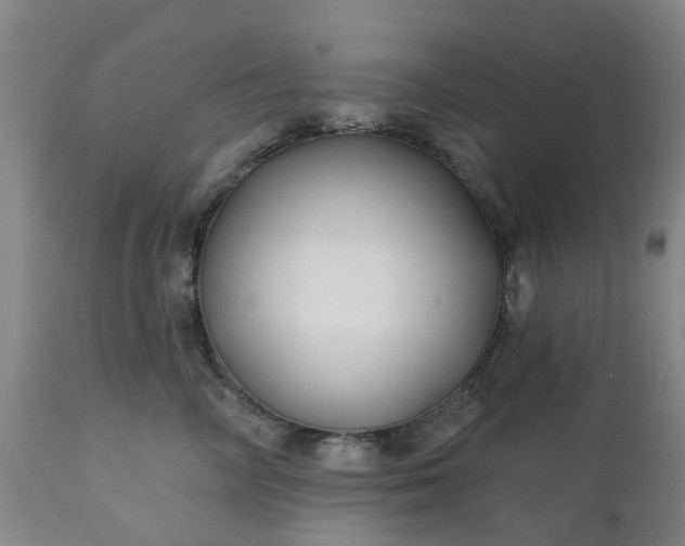 X0000111240714200907091359