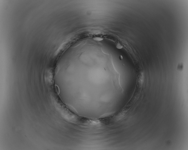 X0000111240715200907091359